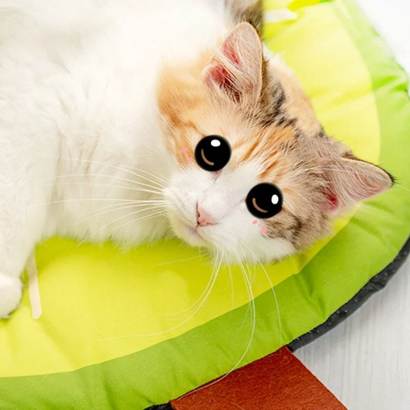 new Dog Cooling Bed Watermelon Avocado Design Mat Soft Cushion for Small Pets